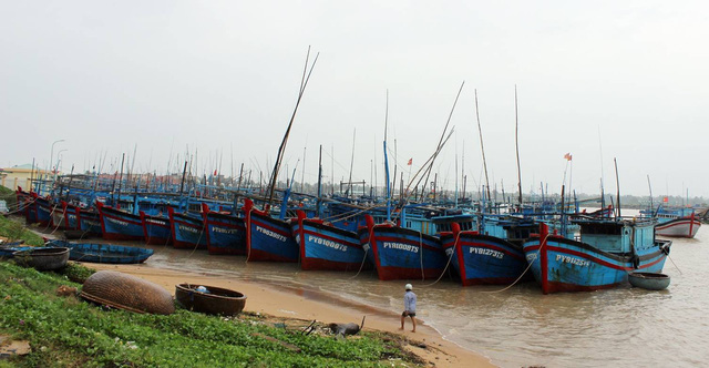 Bàn giải pháp để không còn ngư dân bị bắn chết ở vùng biển nước ngoài